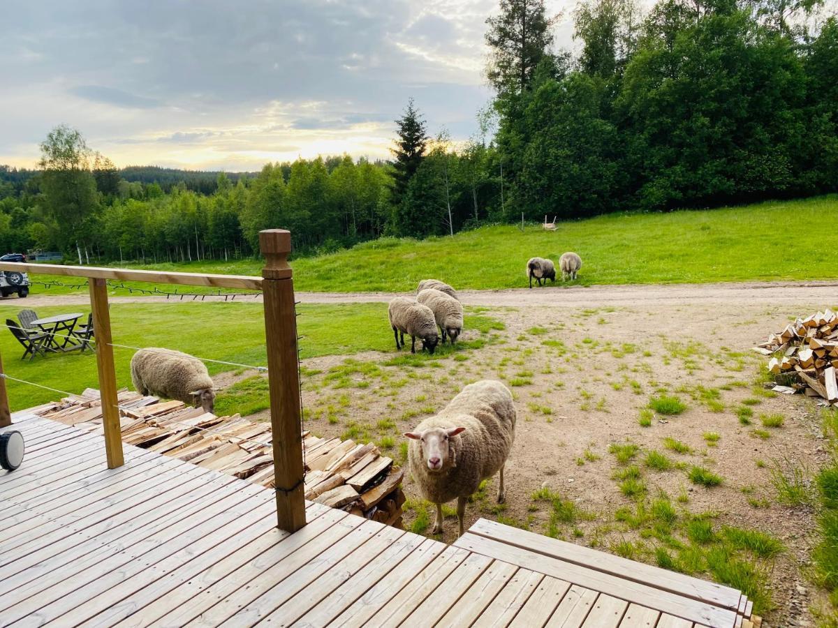 Adventure Guesthouse Sweden In Rural Area Sunne Exterior photo
