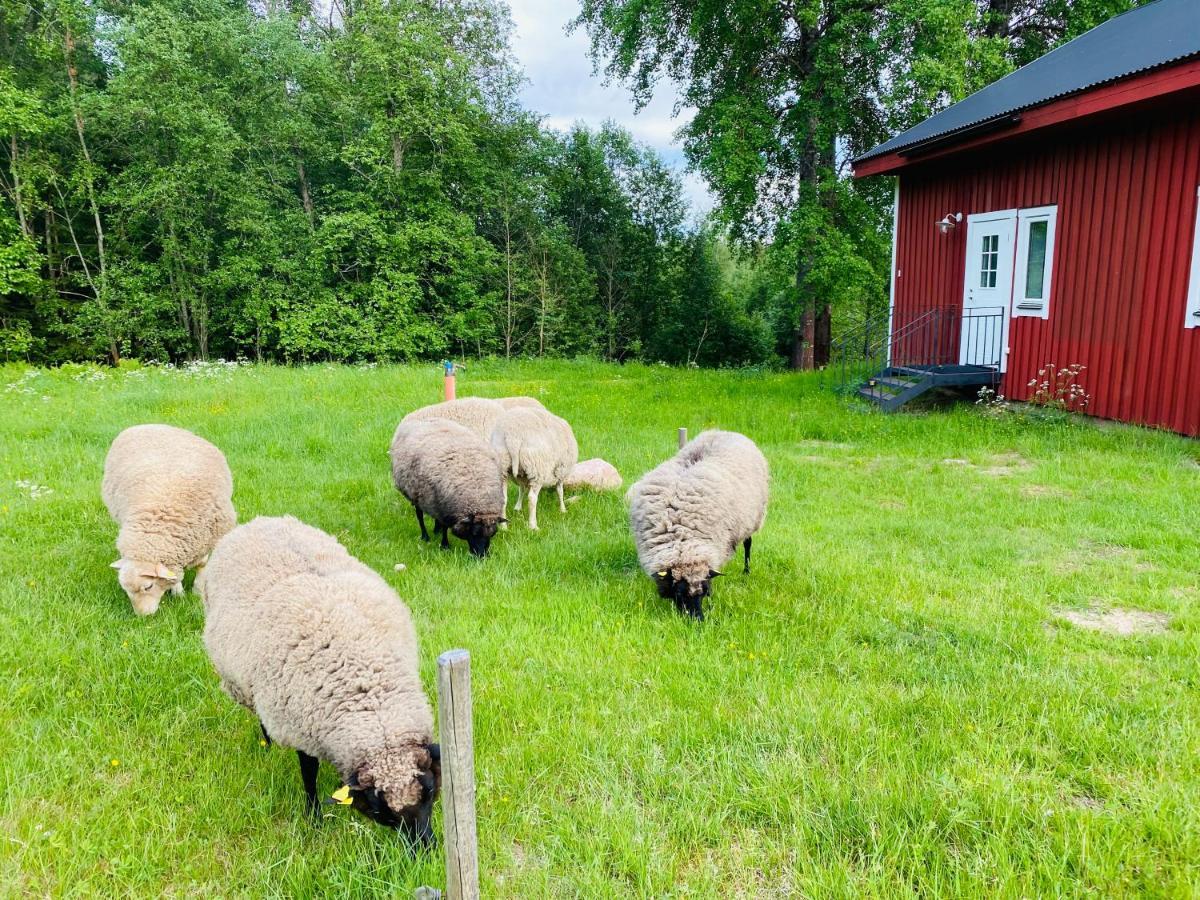 Adventure Guesthouse Sweden In Rural Area Sunne Exterior photo