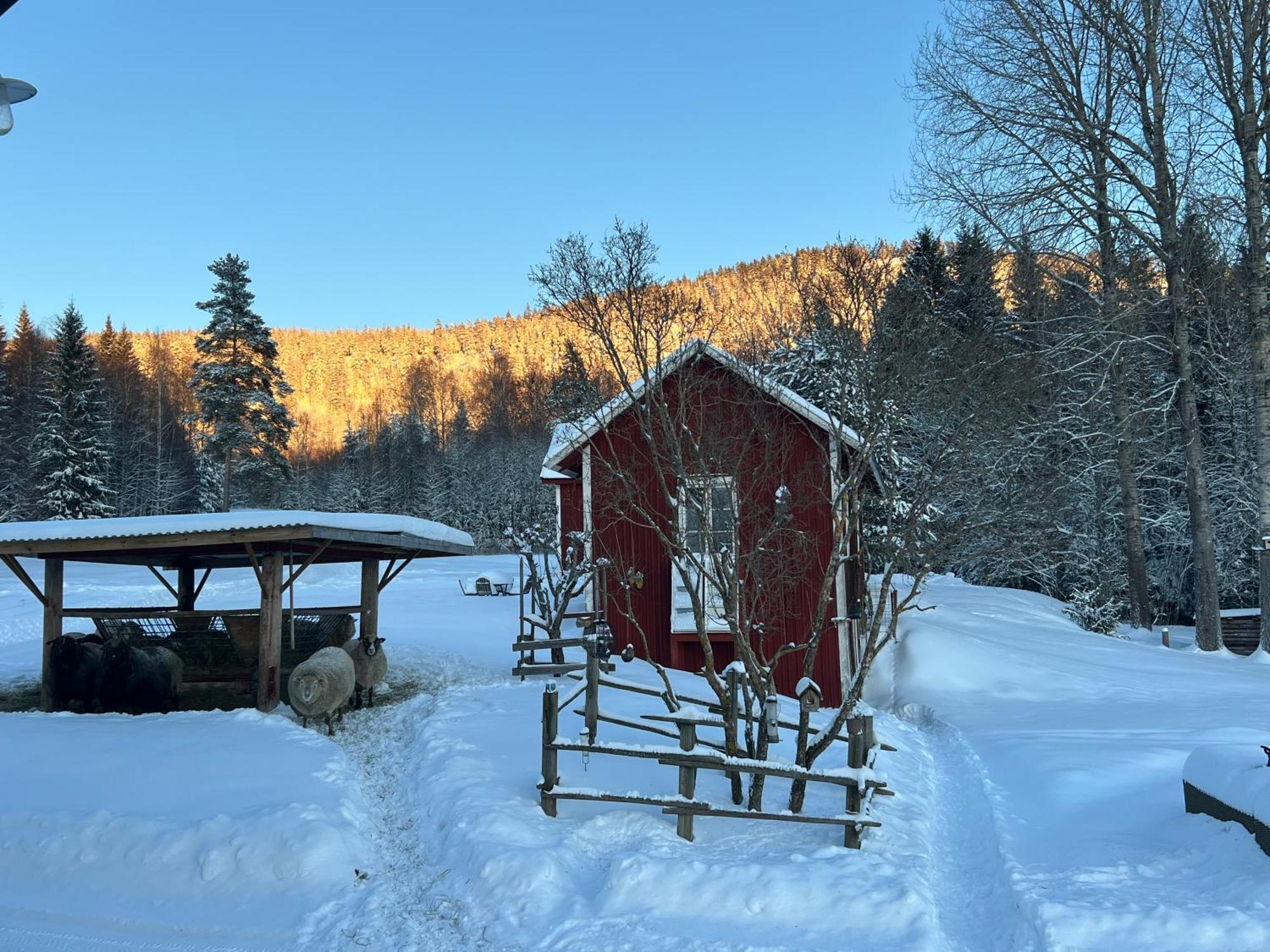 Adventure Guesthouse Sweden In Rural Area Sunne Exterior photo